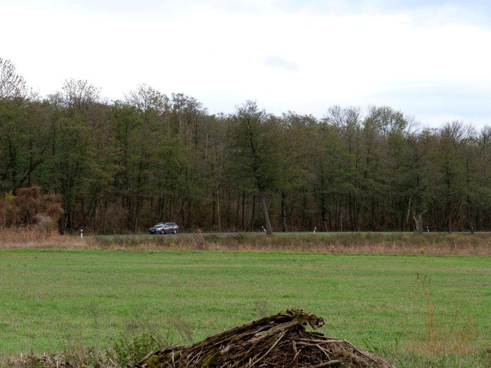 Das Heidefeld Großbeeren on 2019-11-05 12