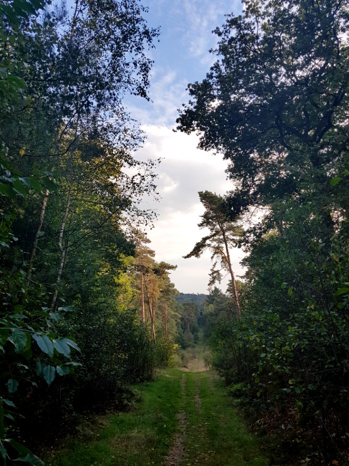 Dartheide helling 2
