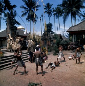 Dansvoorstelling op Bali, Bestanddeelnr 254-9144