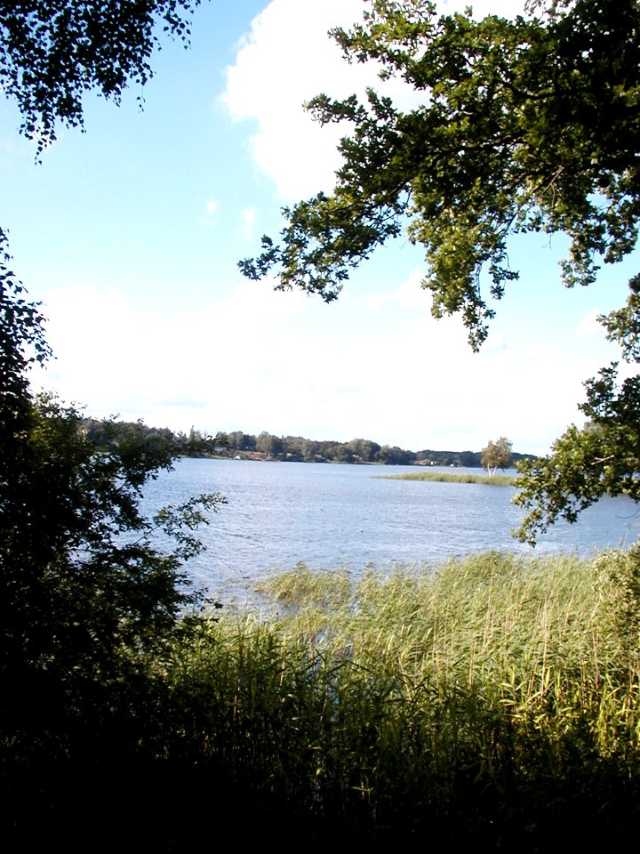 Das Ostufer des Brahmsees