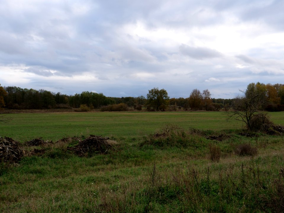 Das Heidefeld Großbeeren on 2019-11-05 15