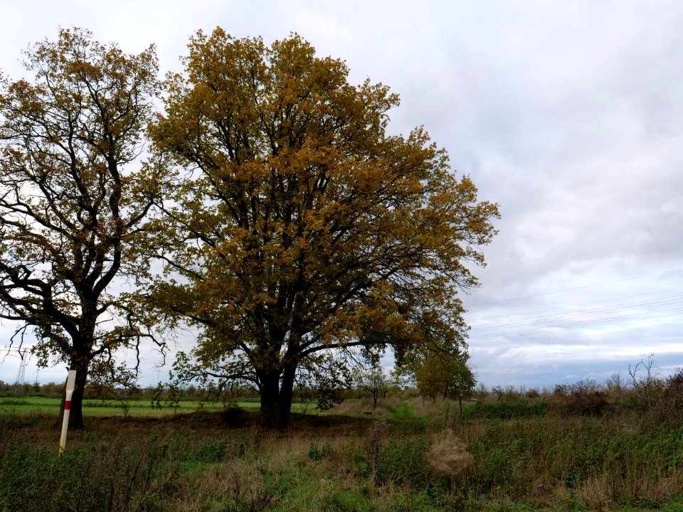 Das Heidefeld Großbeeren on 2019-11-05 42
