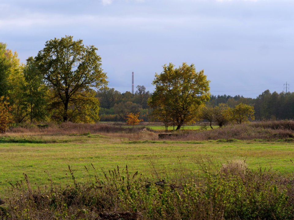 Das Heidefeld Großbeeren on 2019-11-05 23