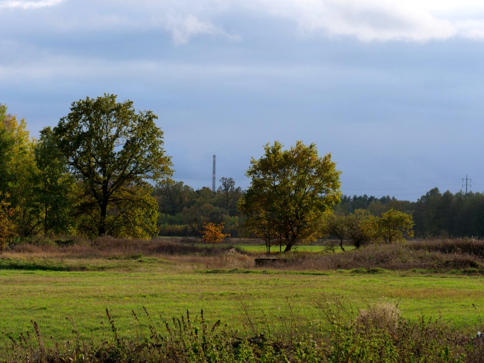 Das Heidefeld Großbeeren on 2019-11-05 21