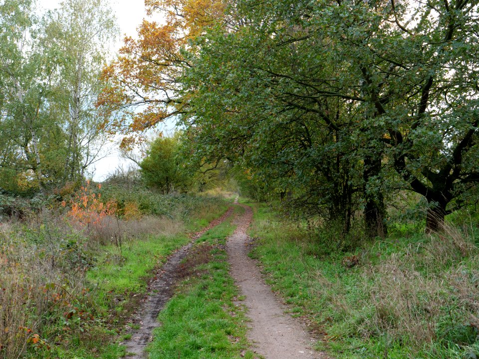Das Heidefeld Großbeeren on 2019-11-05 46