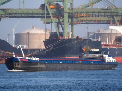 Daybreak (ship, 1976) ENI 02315766 Port of Rotterdam pic1
