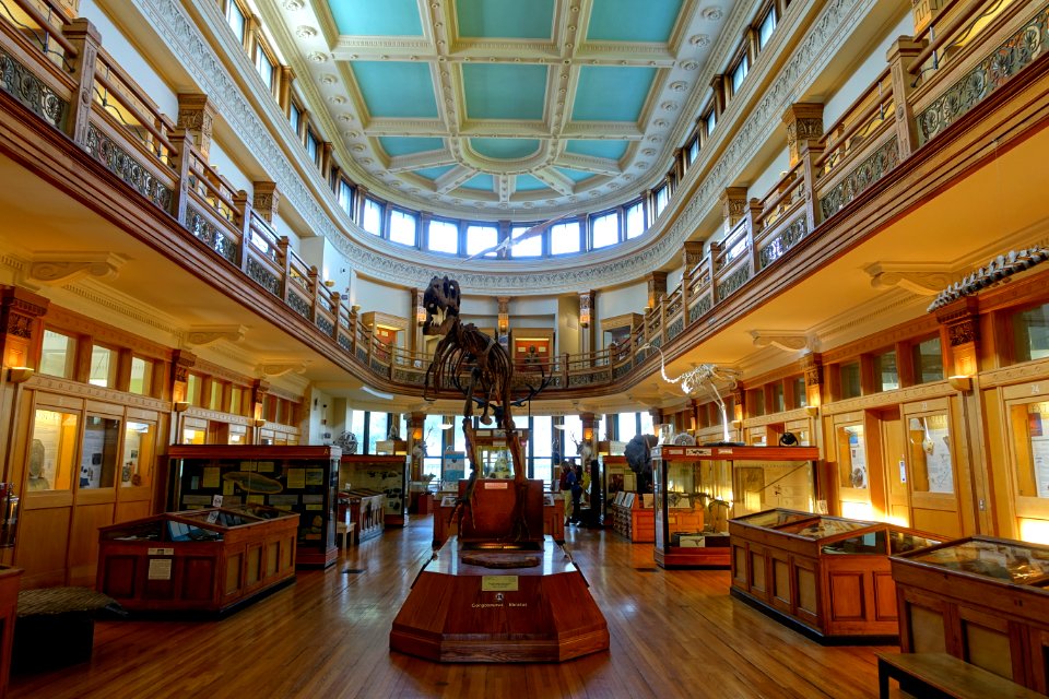 Dawson Gallery - Redpath Museum - McGill University - Montreal, Canada - DSC07868