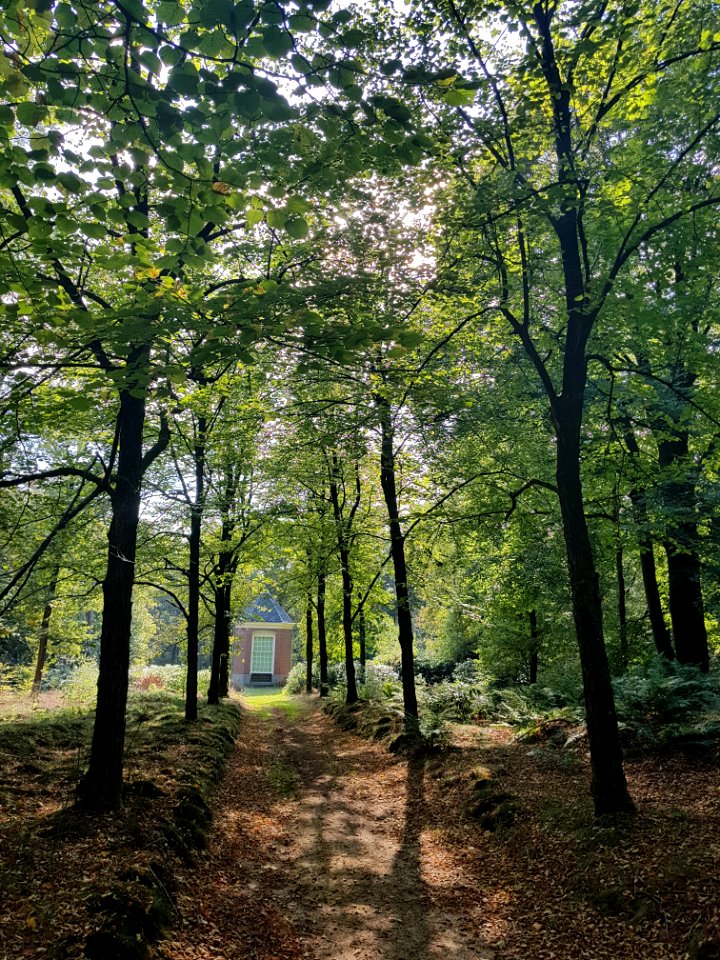 Dartheuvel - 3