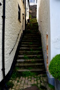Dartmouth (2021-07-01) 169