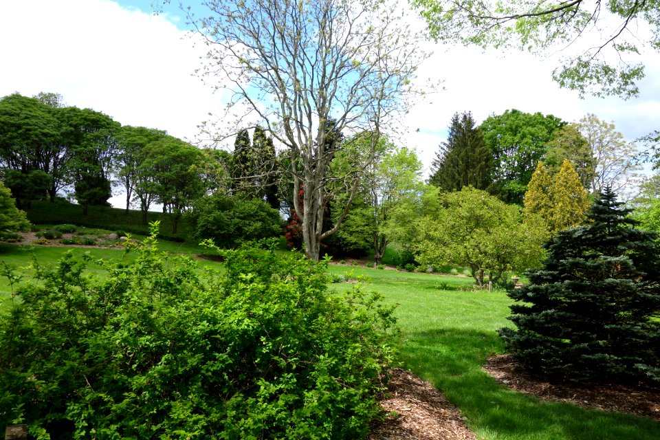 Dawes Arboretum - DSC02796