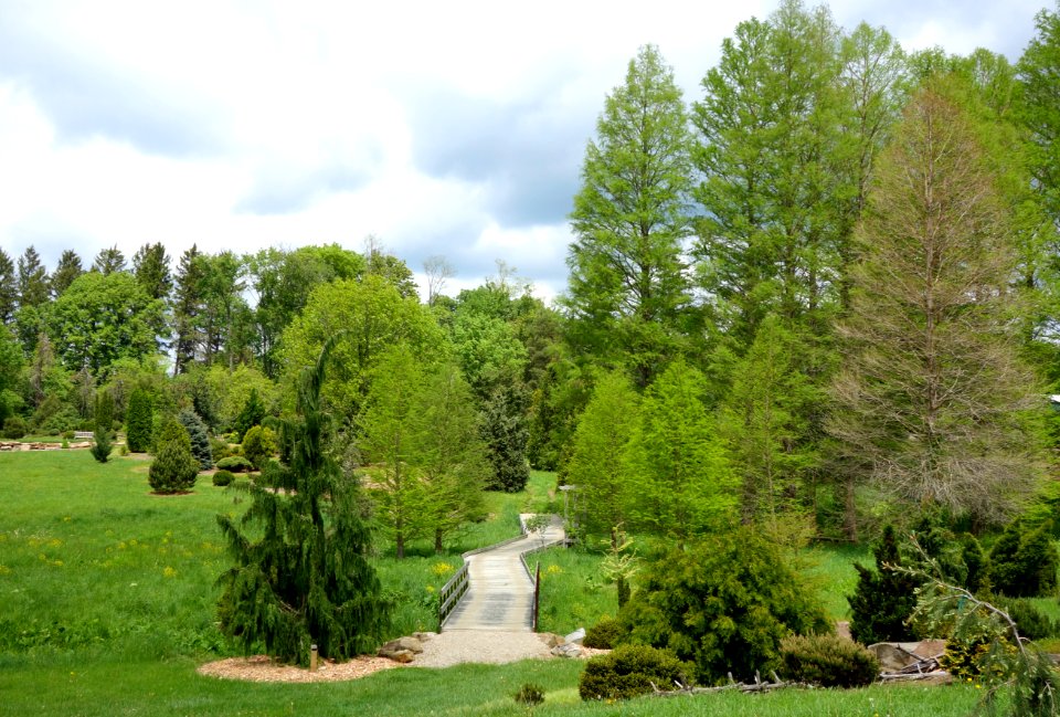 Dawes Arboretum - DSC02946