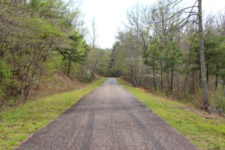 Dawson Forest road 1
