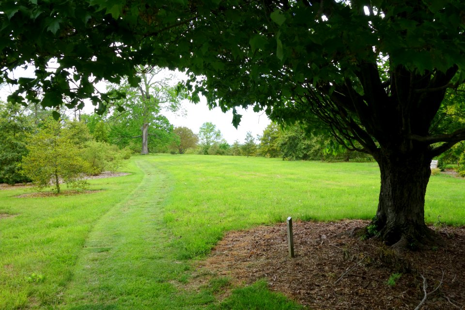 Dawes Arboretum - DSC02833
