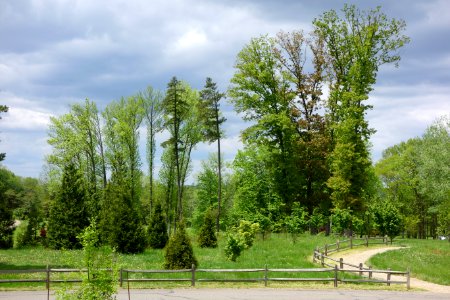 Dawes Arboretum - DSC02806
