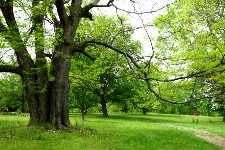 Dawes Arboretum - DSC02848