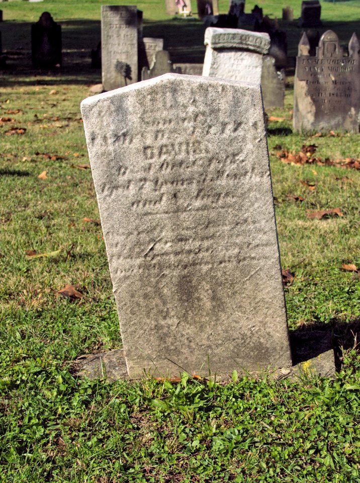 Davis (William), Bethel Cemetery, 2015-10-15, 02