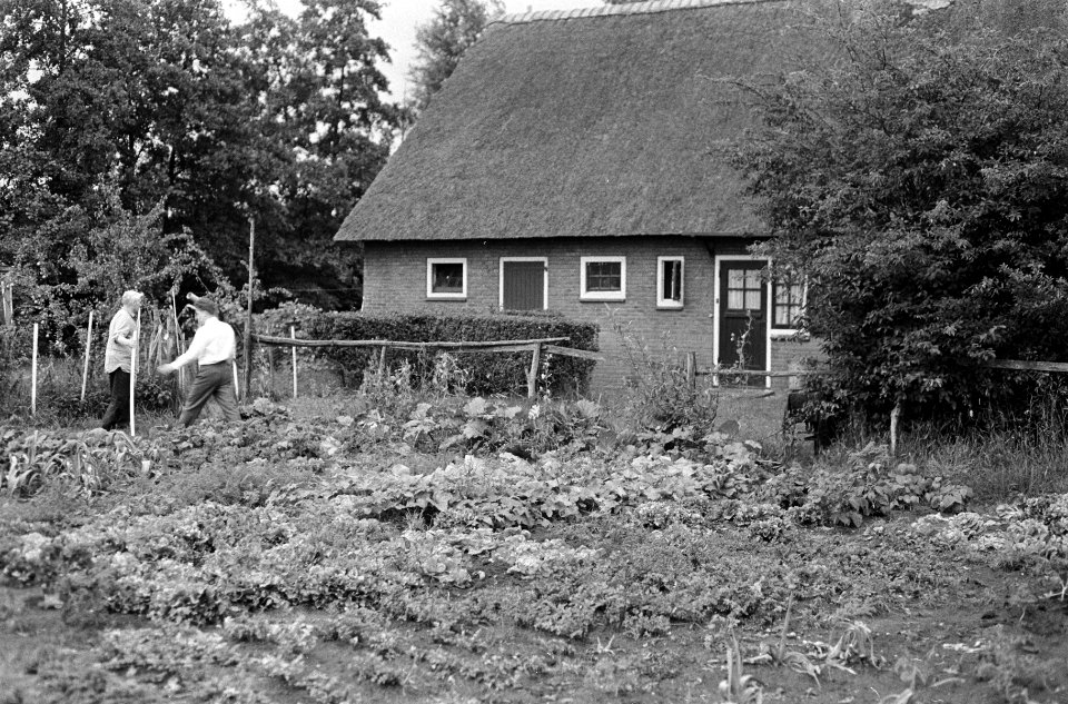 De boerderij van de Leeuw met op de voorgrond de moestuin, Bestanddeelnr 919-5562