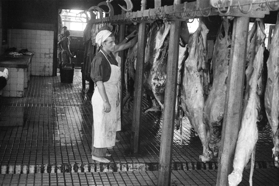 De boerderij Onze laatste Hoop van de Verplegings- en Transport Dienst te Meda, Bestanddeelnr 1697-1-4