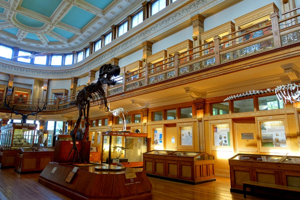 Dawson Gallery - Redpath Museum - McGill University - Montreal, Canada - DSC07893