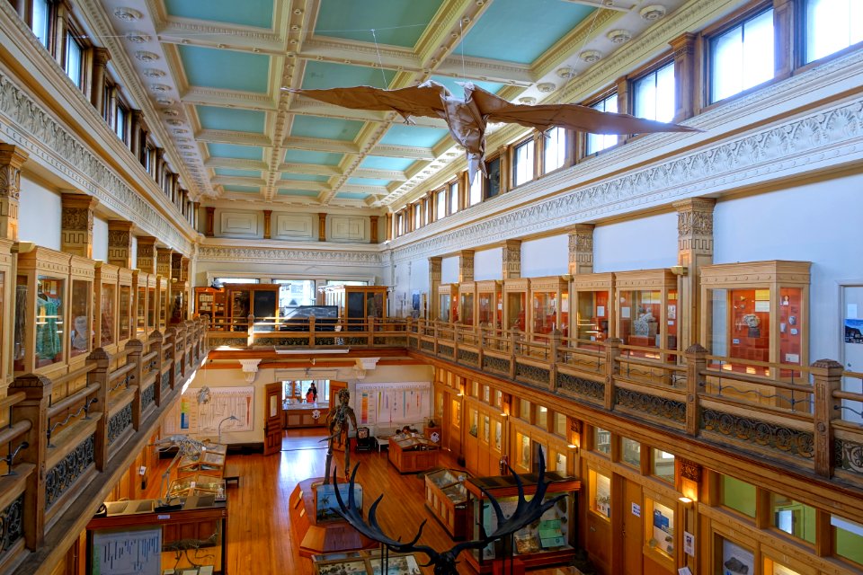 Dawson Gallery - Redpath Museum - McGill University - Montreal, Canada - DSC08196