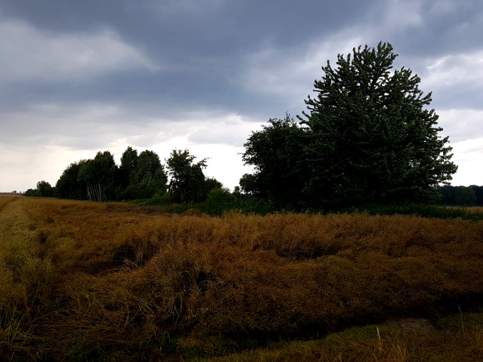 Dawne kolejowe przejście graniczne Pilszcz-Opawa (2)