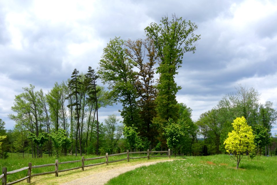 Dawes Arboretum - DSC02807