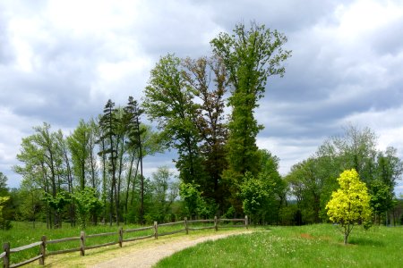 Dawes Arboretum - DSC02807