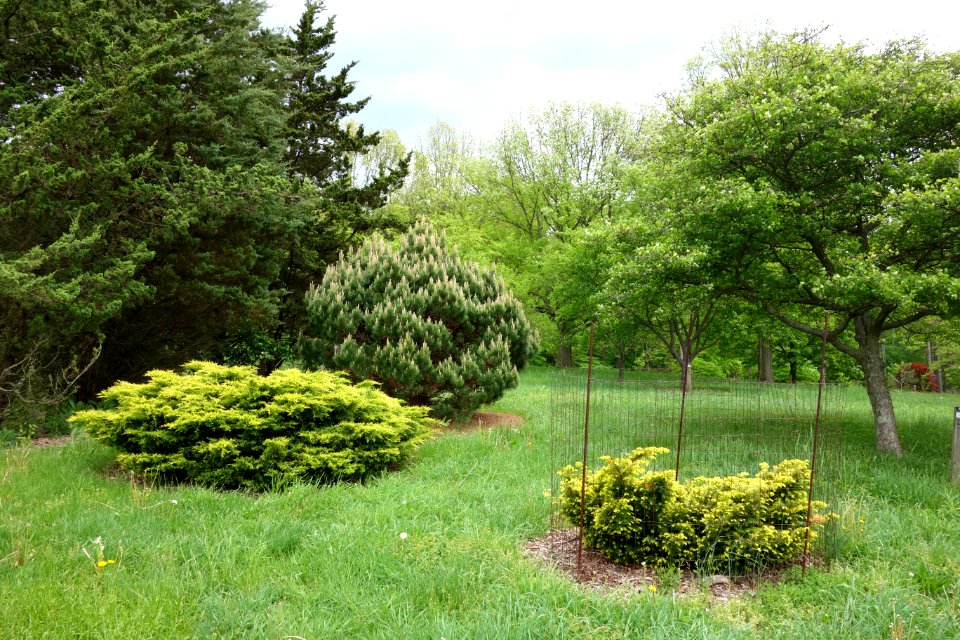 Dawes Arboretum - DSC02876