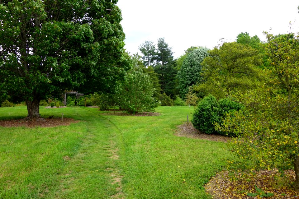 Dawes Arboretum - DSC02834
