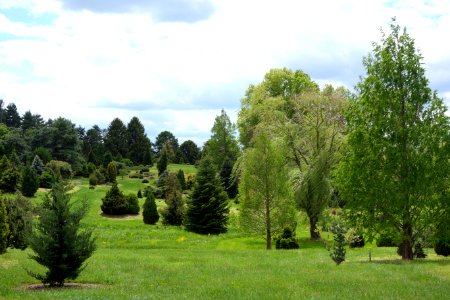 Dawes Arboretum - DSC02955