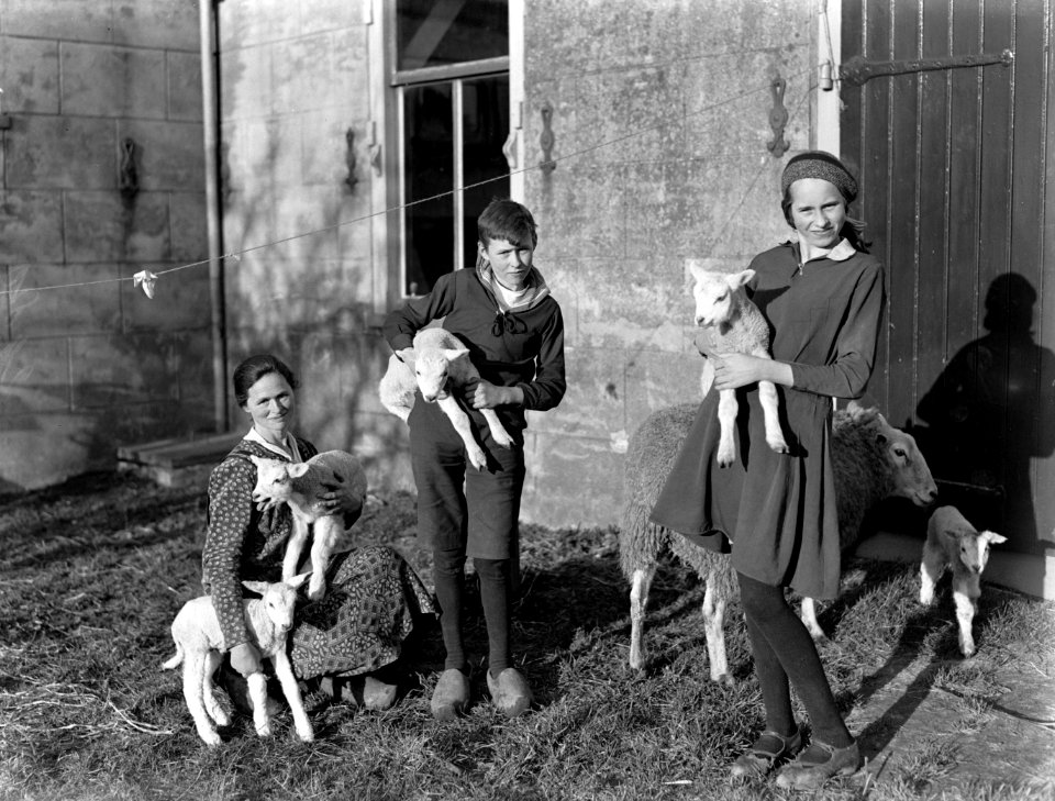 De boerenfamilie Wiedemeyer in Broek in Waterland met lammetjes, Bestanddeelnr 189-0247