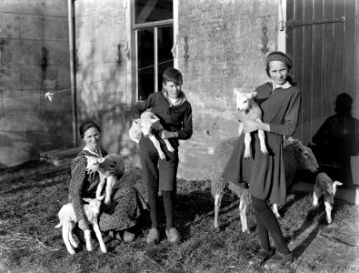 De boerenfamilie Wiedemeyer in Broek in Waterland met lammetjes, Bestanddeelnr 189-0247