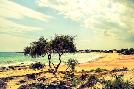 Beach nature scenery