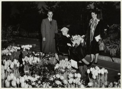 De bekende actrice Rika Hopper bracht op 25 januari 1959 een bezoek aan de Winterflora in het Krelagehuis, NL-HlmNHA 54010521