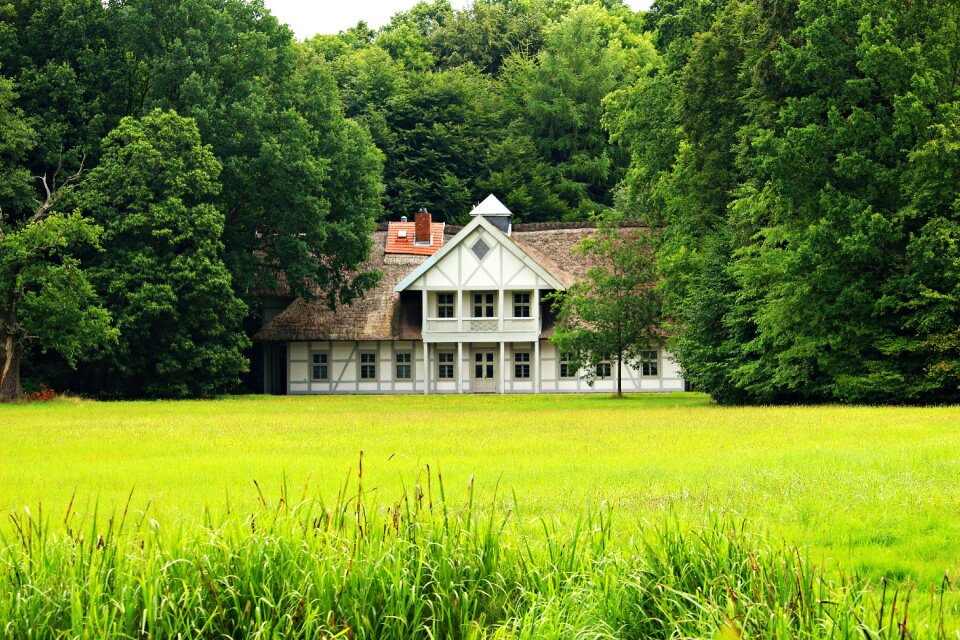 Ludwigslust-parchim castle park meadow