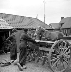 De boer en knechten bij een paard op een kar, Bestanddeelnr 252-1945