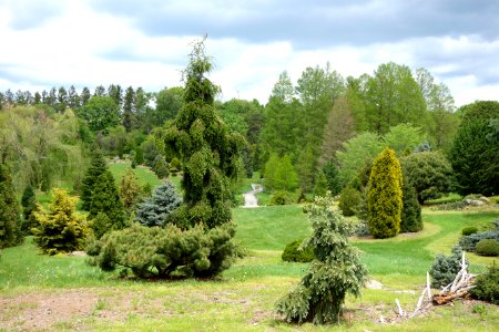 Dawes Arboretum - DSC02938