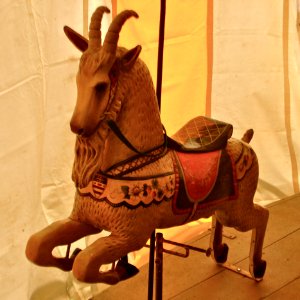 DC Carousel 2nd Goat