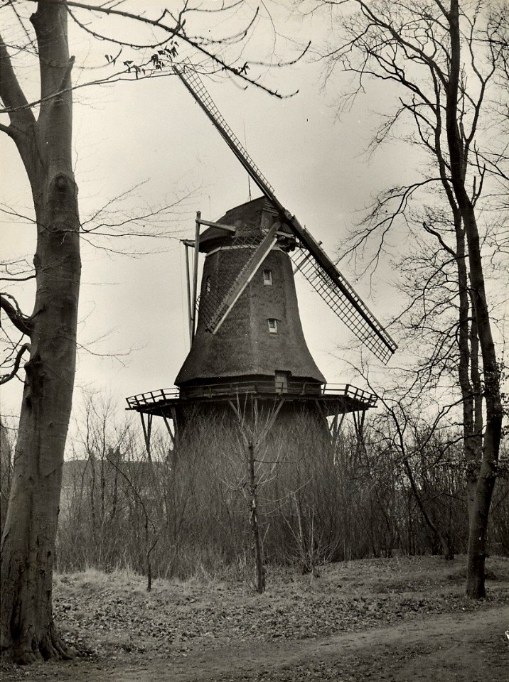 De (graan) molen De Sandhaes met door de storm gehavende wieken (11 jan.). Aangekocht in 1977 van fotograaf C. de Boer. Identificatienummer 54-004463