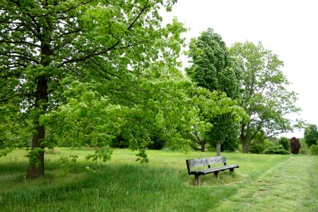 Dawes Arboretum - DSC02855