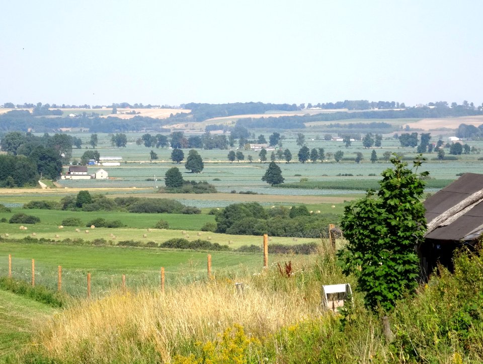 DDW Gzin-Czarze9 8-2015