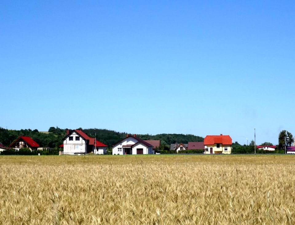 DDW Gruczno 5 7-2015