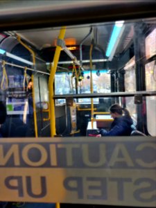 DC bus perspective of a passenger