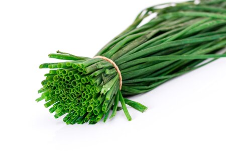 Green onion chives scallion