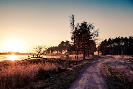 Forest road outdoors
