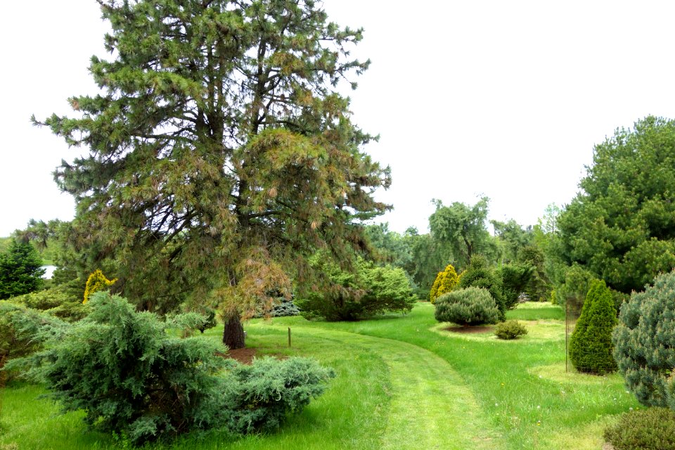 Dawes Arboretum - DSC02922