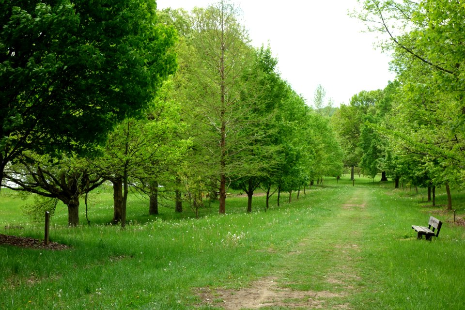 Dawes Arboretum - DSC02889
