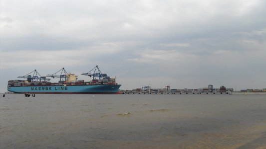 DCT Gdańsk & Maersk Elba