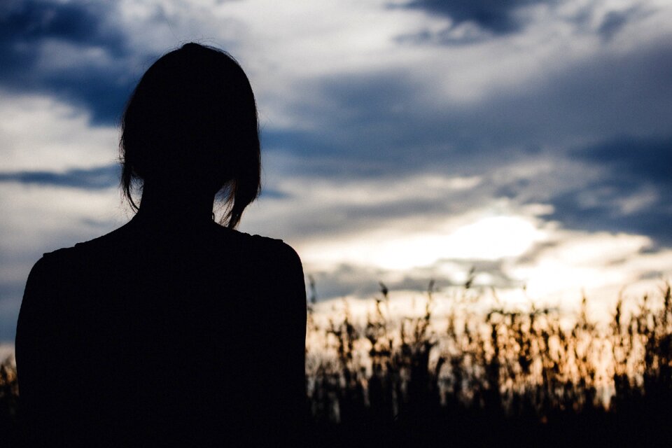 Silhouette sky gray sky