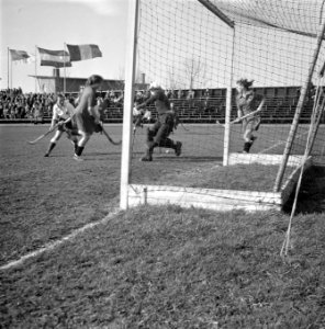 Dames-hockey Nederland tegen Belgie 't 11-tal van Nederland, Bestanddeelnr 902-6369